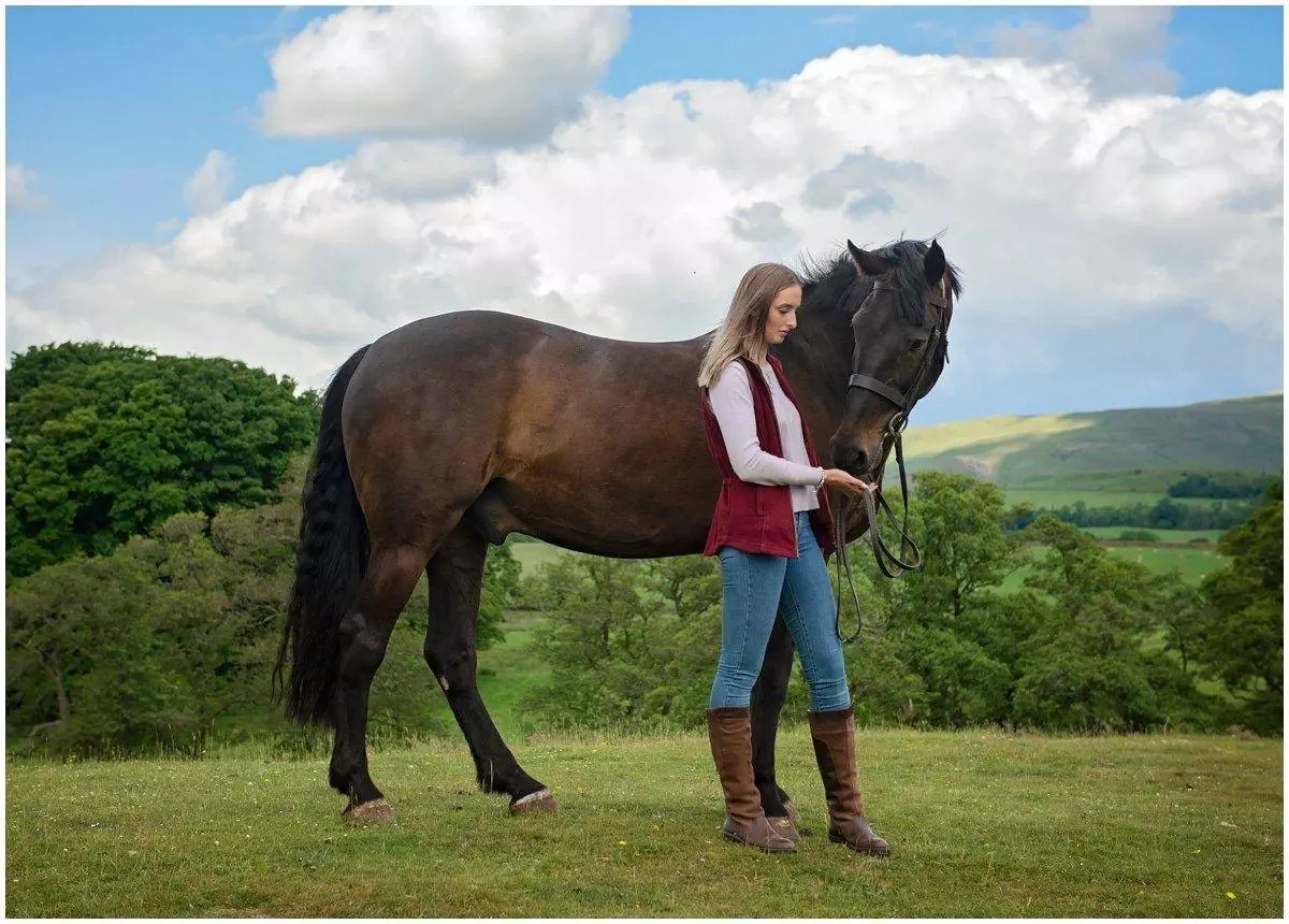Equine photo session in the Eden Valley