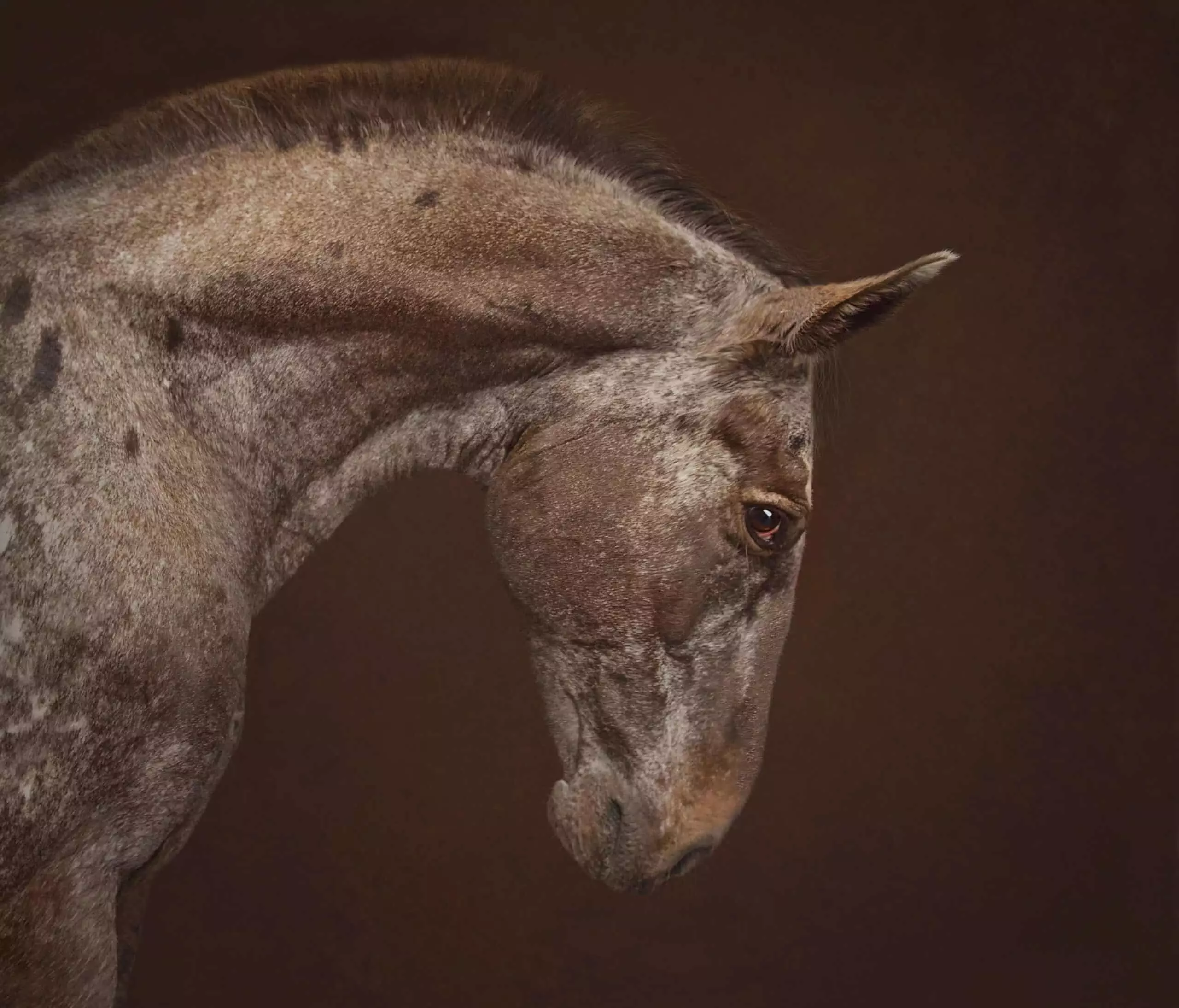 International Chromatic Photography Awards