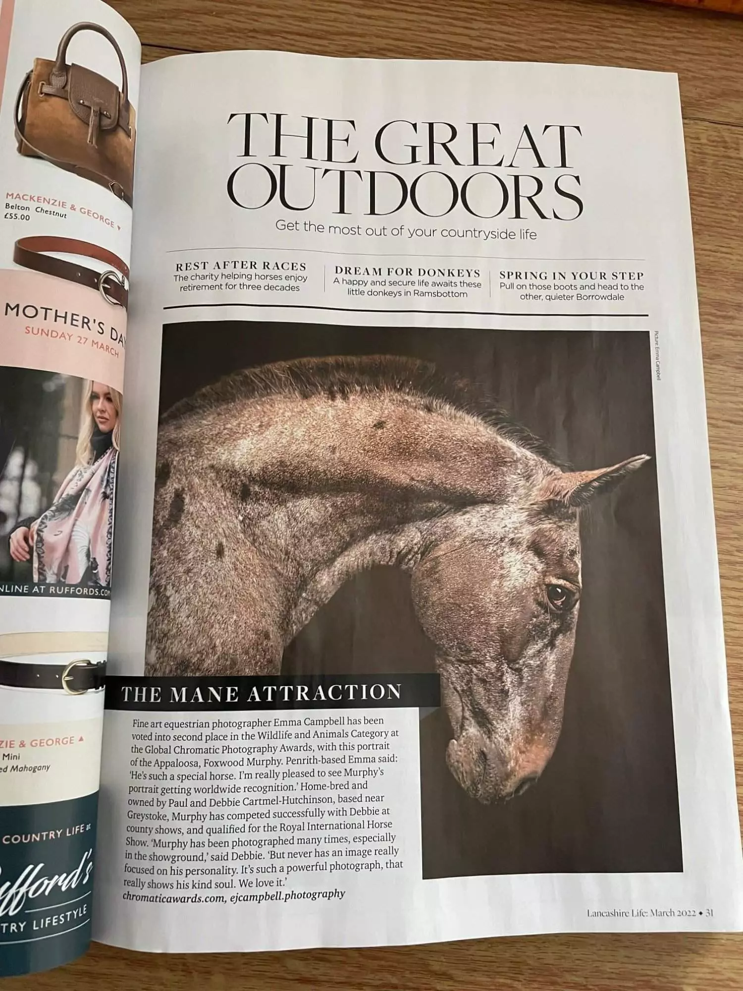 Emma Campbell - Equine Photographer's work in Lanchashire Life