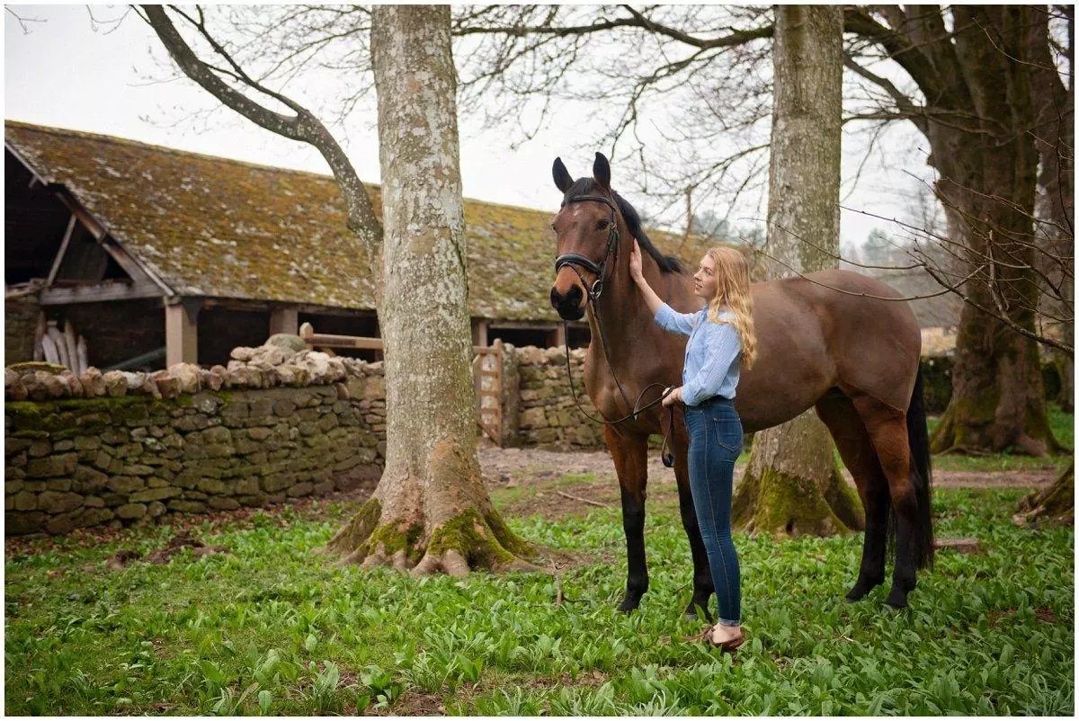 Spring horse photoshoot Cumbria
