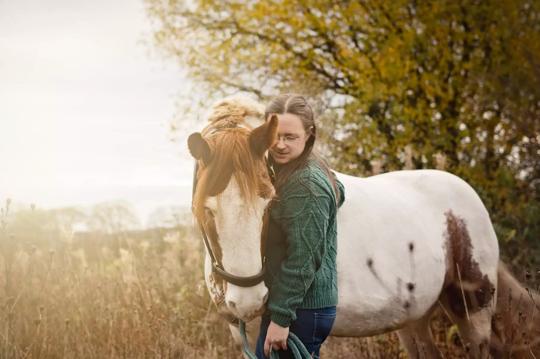 National Horse day