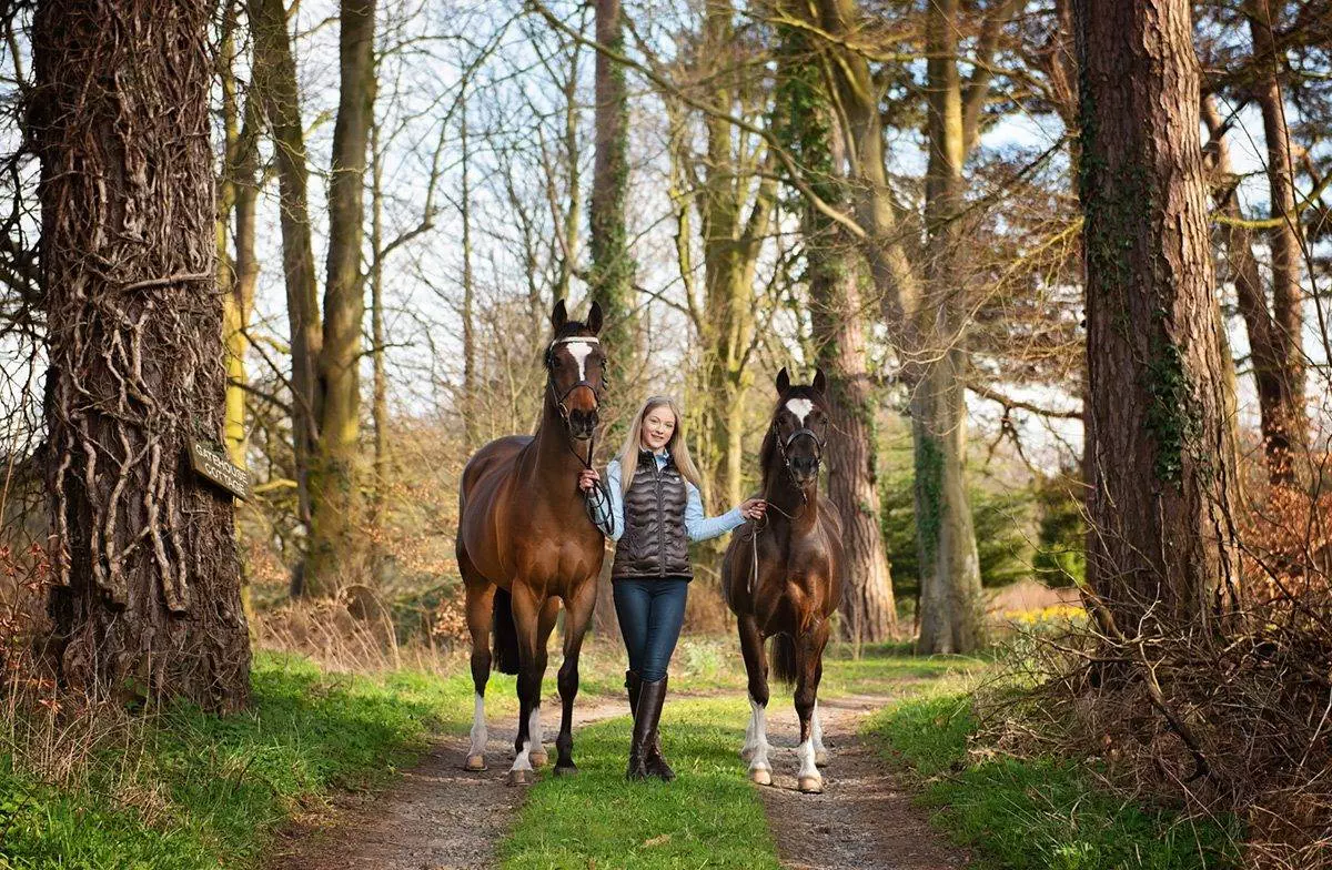 Cumbrian - horse Photoshoot
