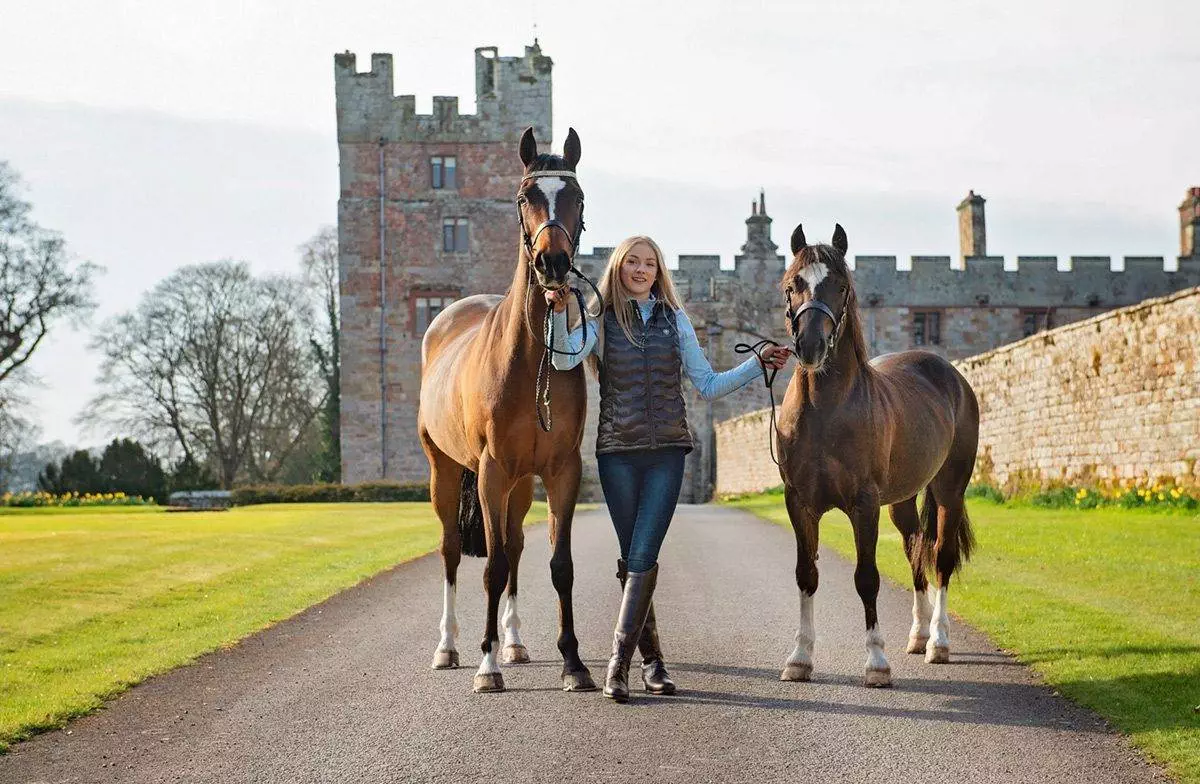 Equine Portrait Shoot - cumbria