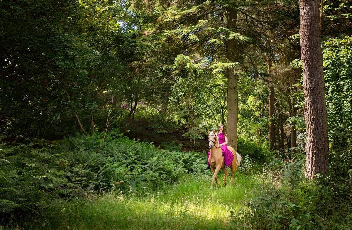woods equine photoshoot cumbria