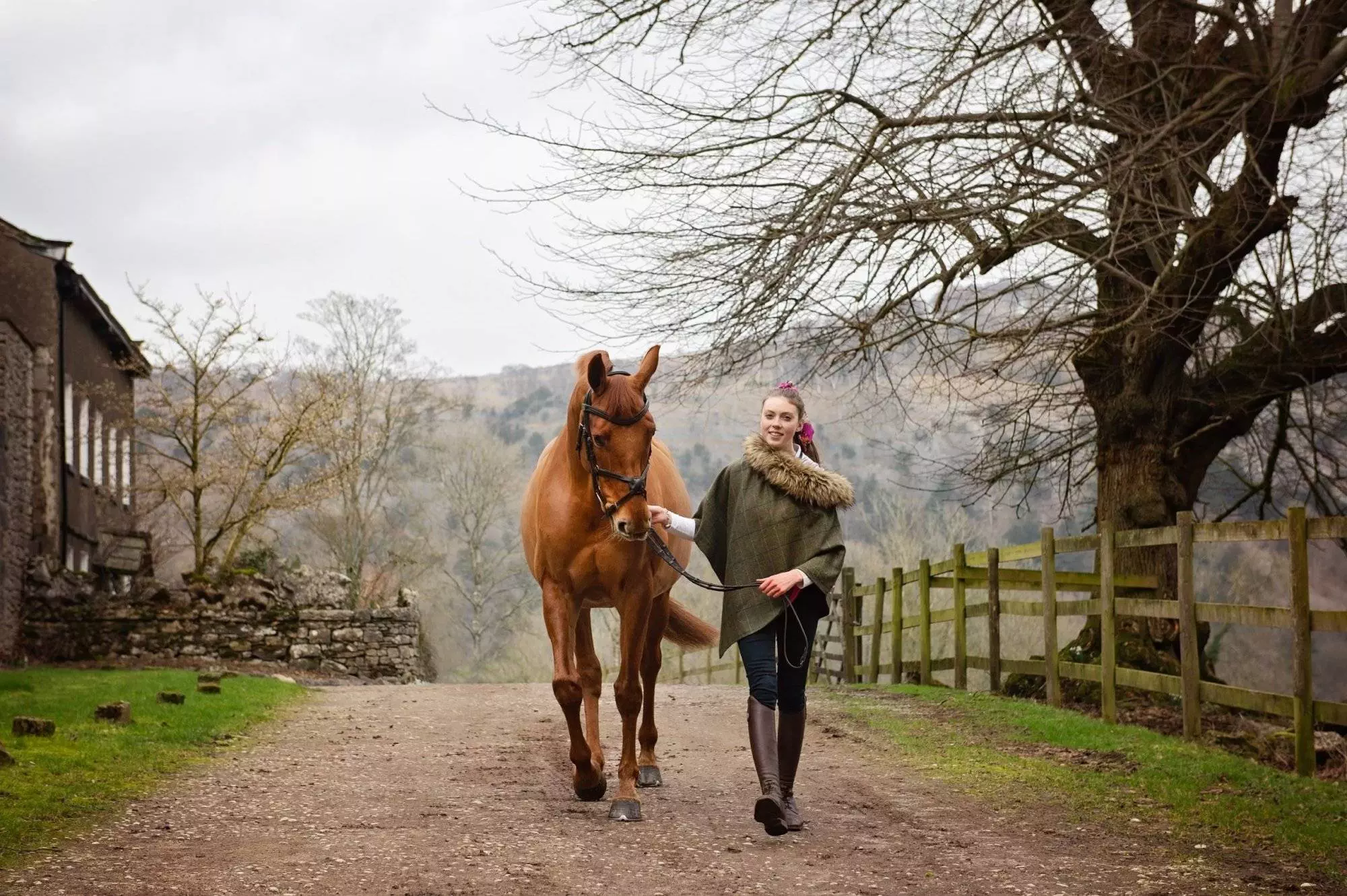 Booking an autumn or winter Equine Portrait Session
