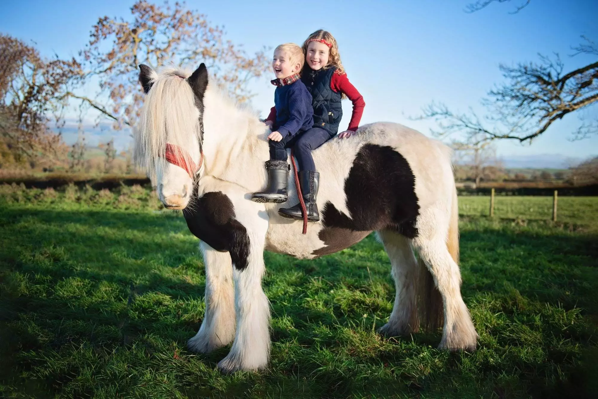 Equine children photoshoot - cumbria. Horse Photoshoot by Emma Campbell