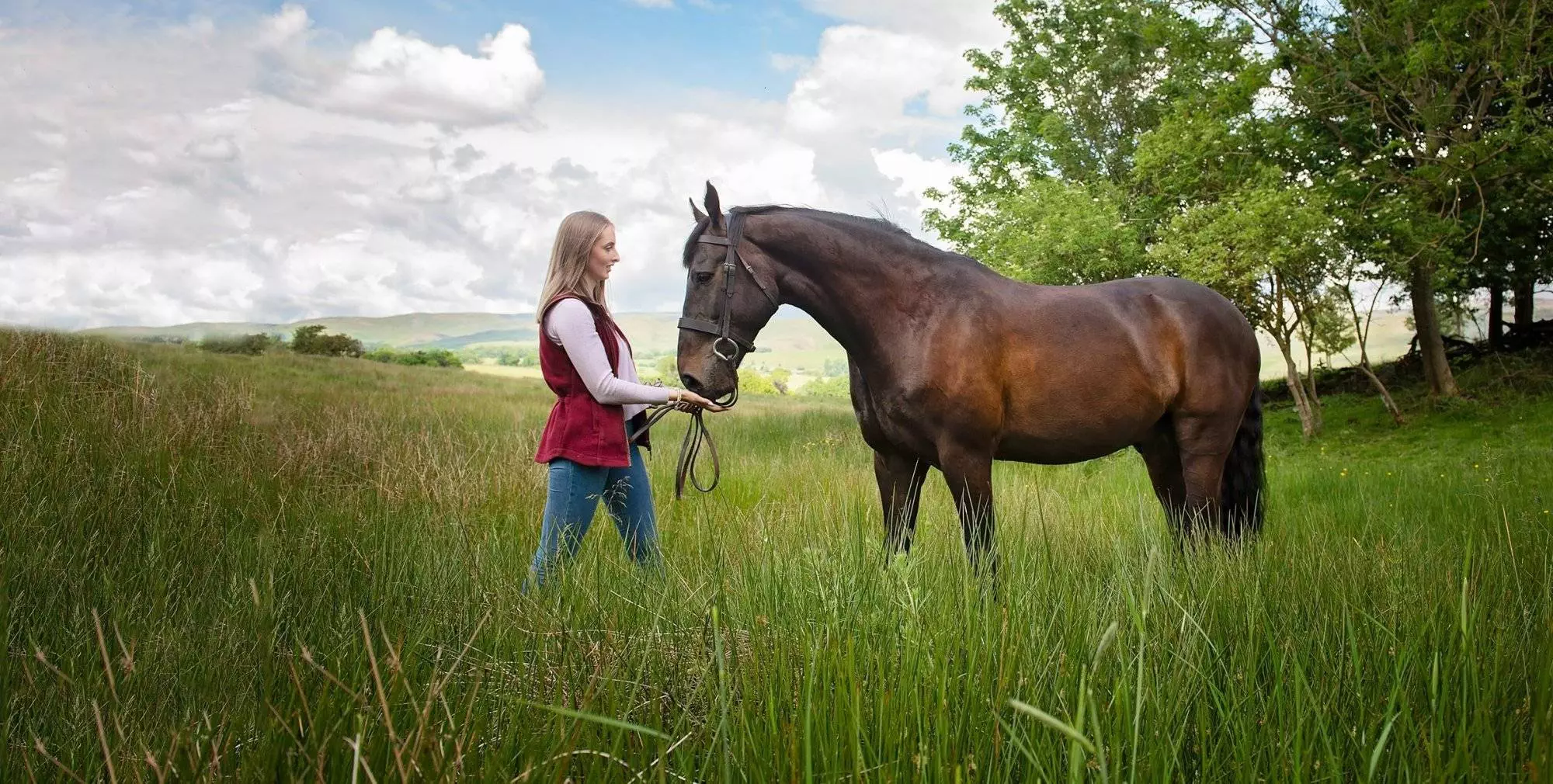 Equine Portrait Session Experience - by Emma Campbell