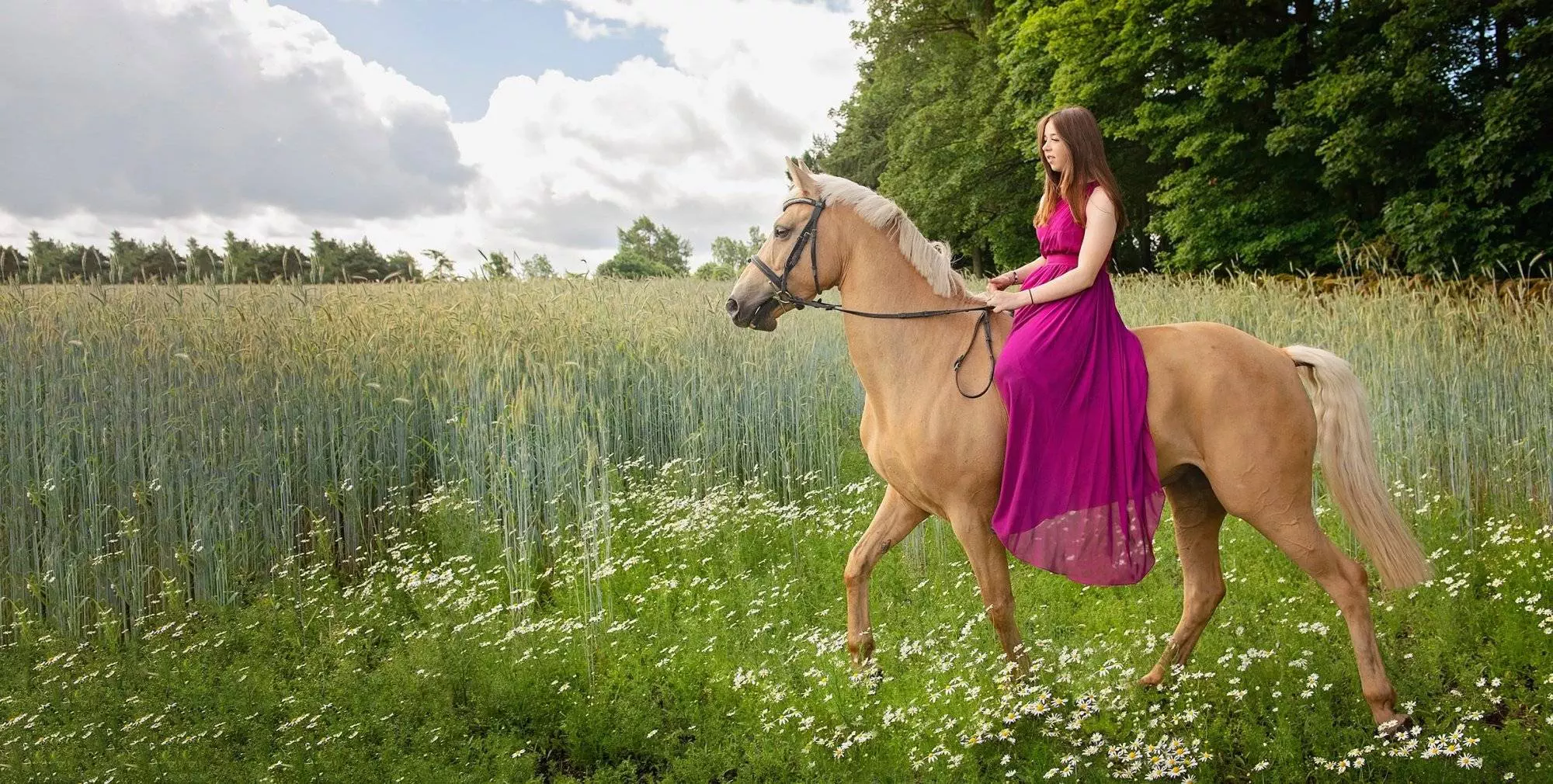 Equine Portrait Session by Emma Campbell. Horse photoshoot - prom dress.