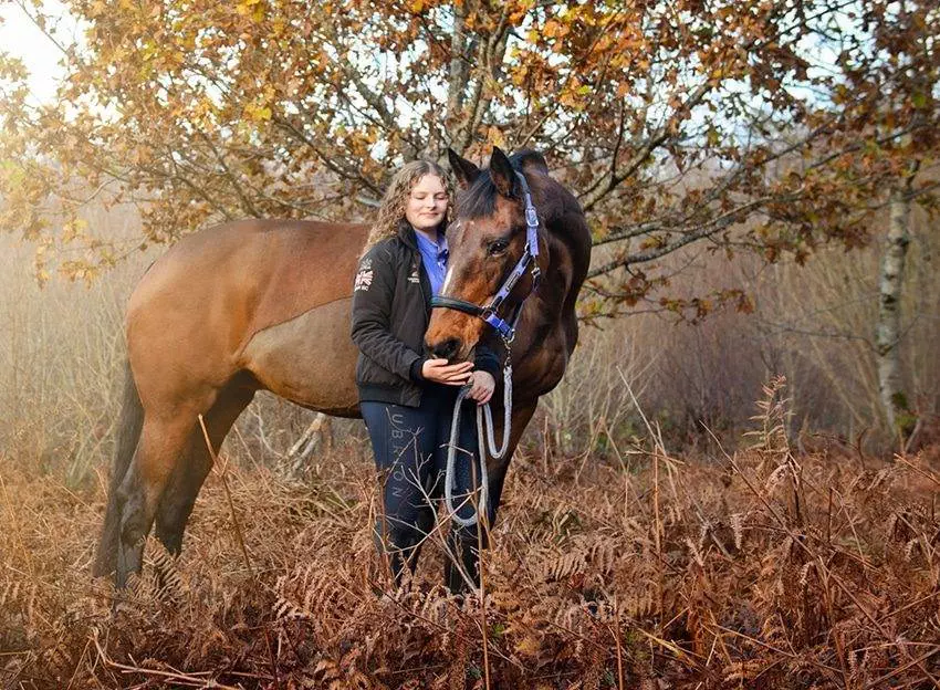 Your Equine Portrait Session starts here