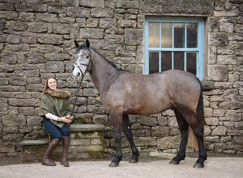 Lake district horse photoshoot by Emma Campbell