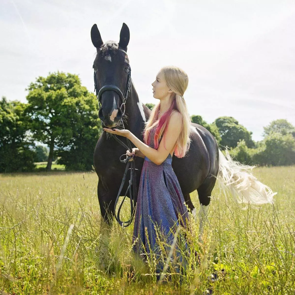 Summer light - horse photoshoot