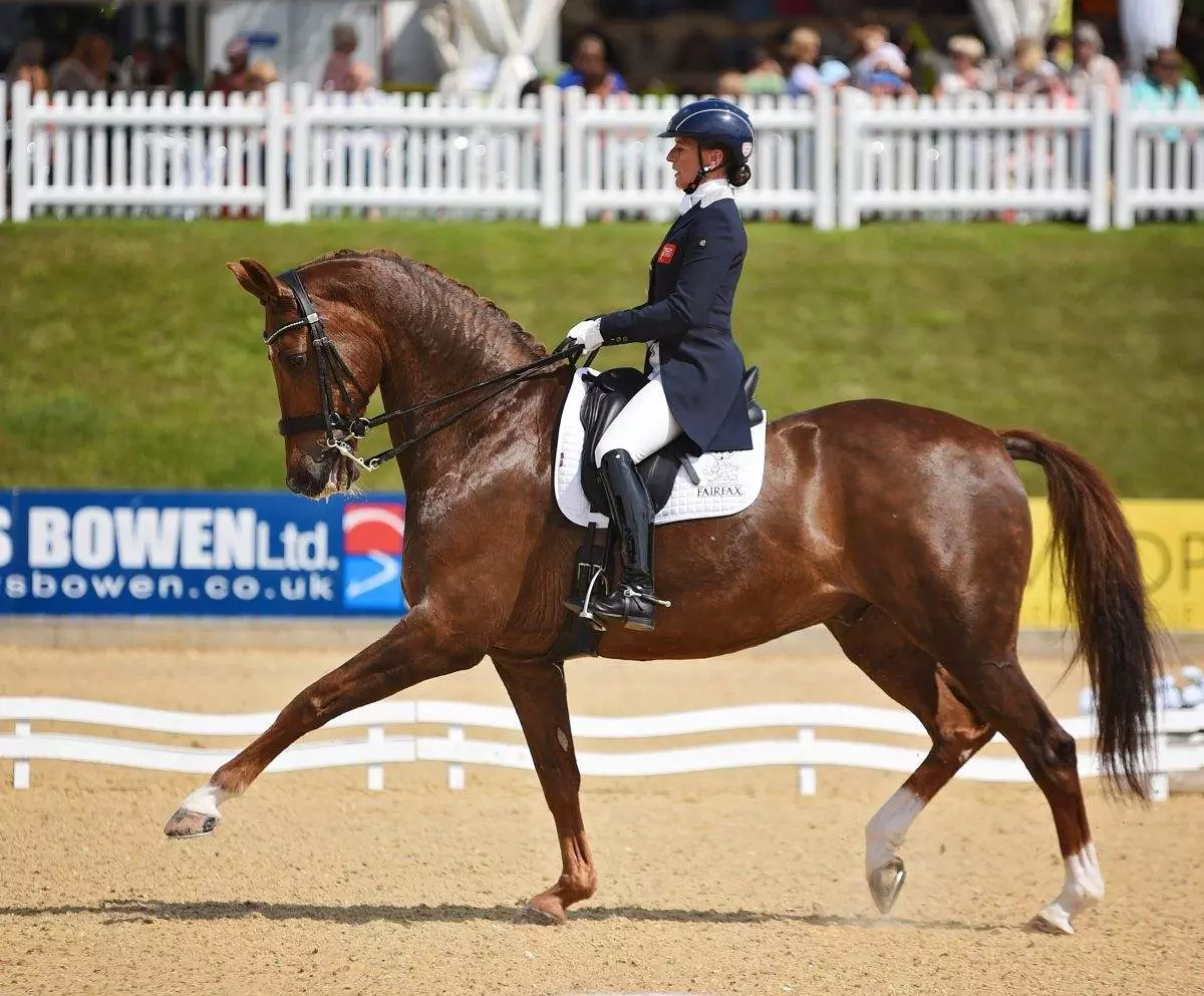 Free Equine Webinar