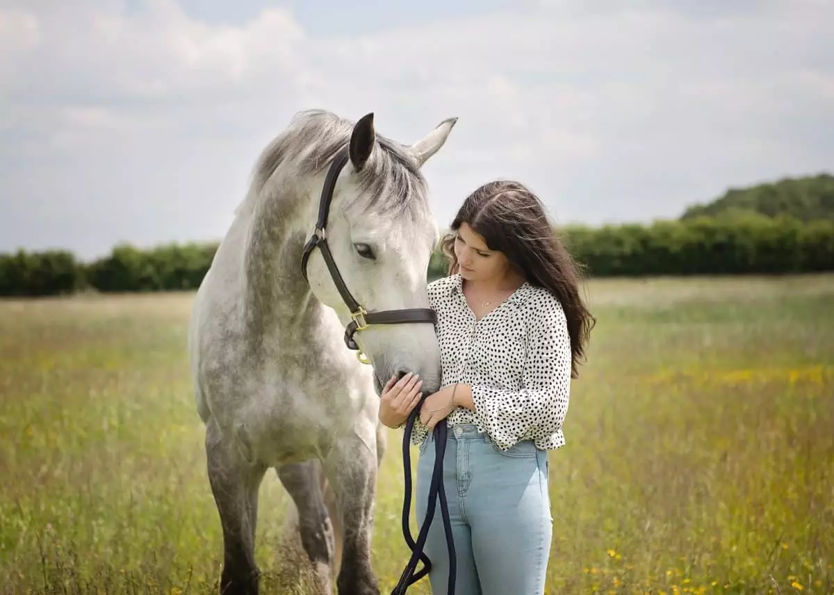 Horse photoshoot - manchester, by Emma Campbell