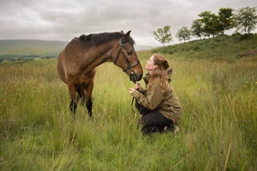 Celebrating a Golden Oldie Superstar! Horse photoshoot session
