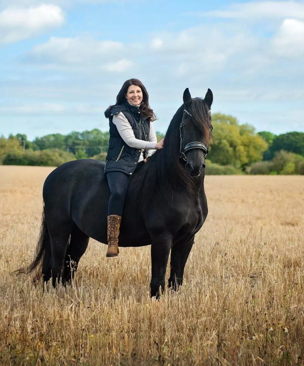 Horse photoshoot - golden oldie