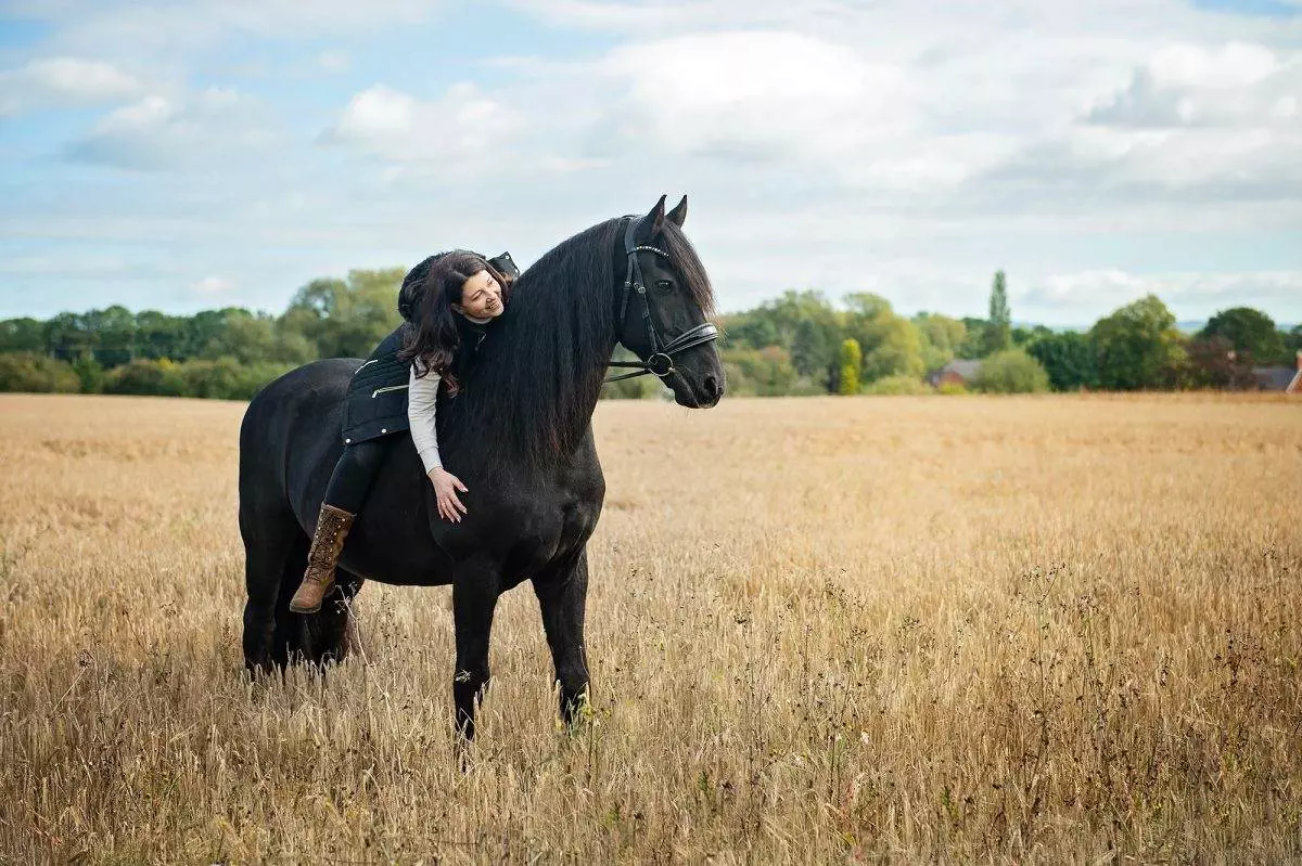 Equine Commerical photography - celebrating a golden oldie
