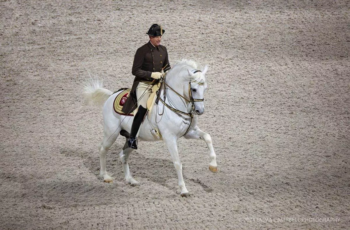The Spanish riding School performing in Aberdeen.