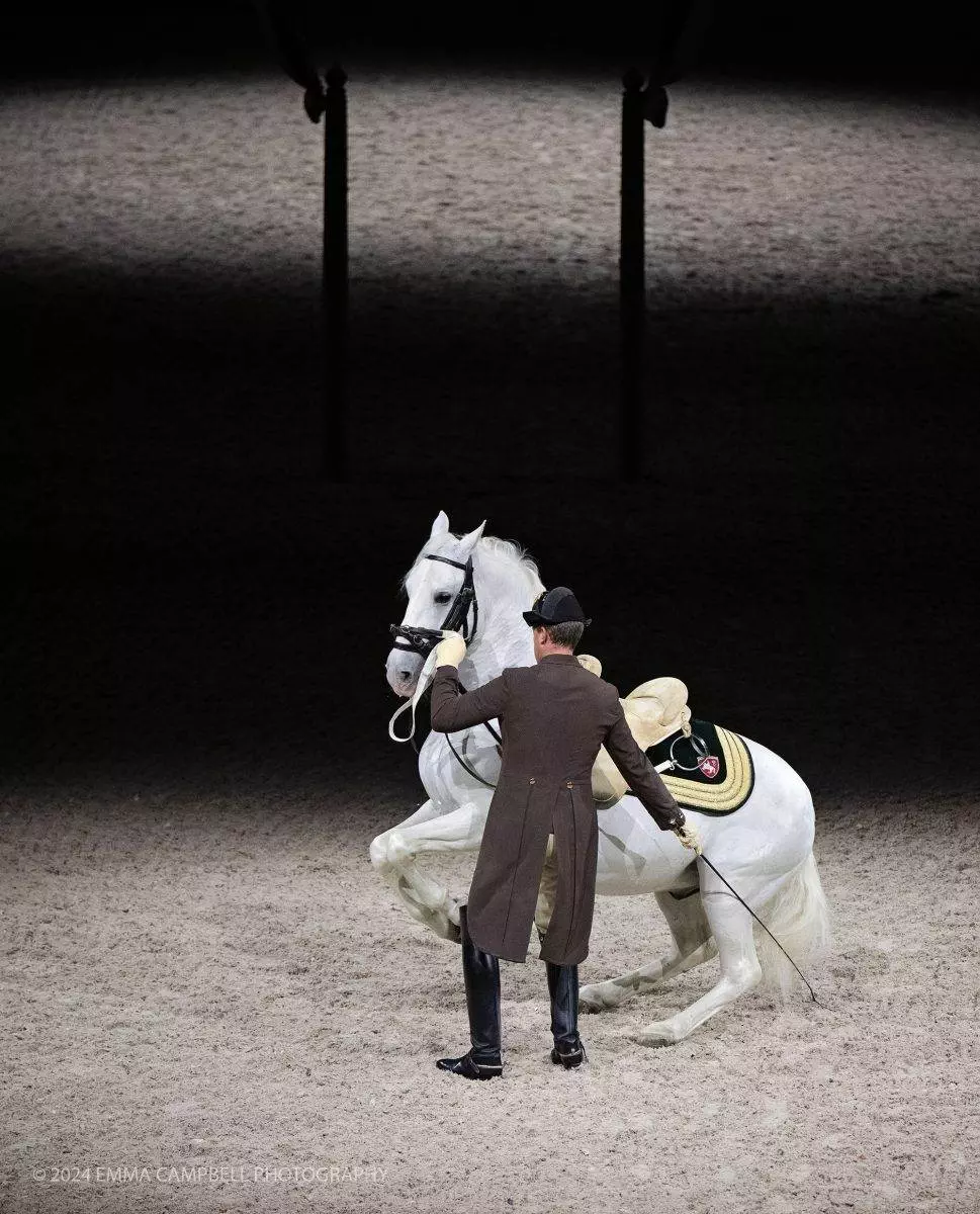 Spanish Riding School visiting Scotland for the first time.