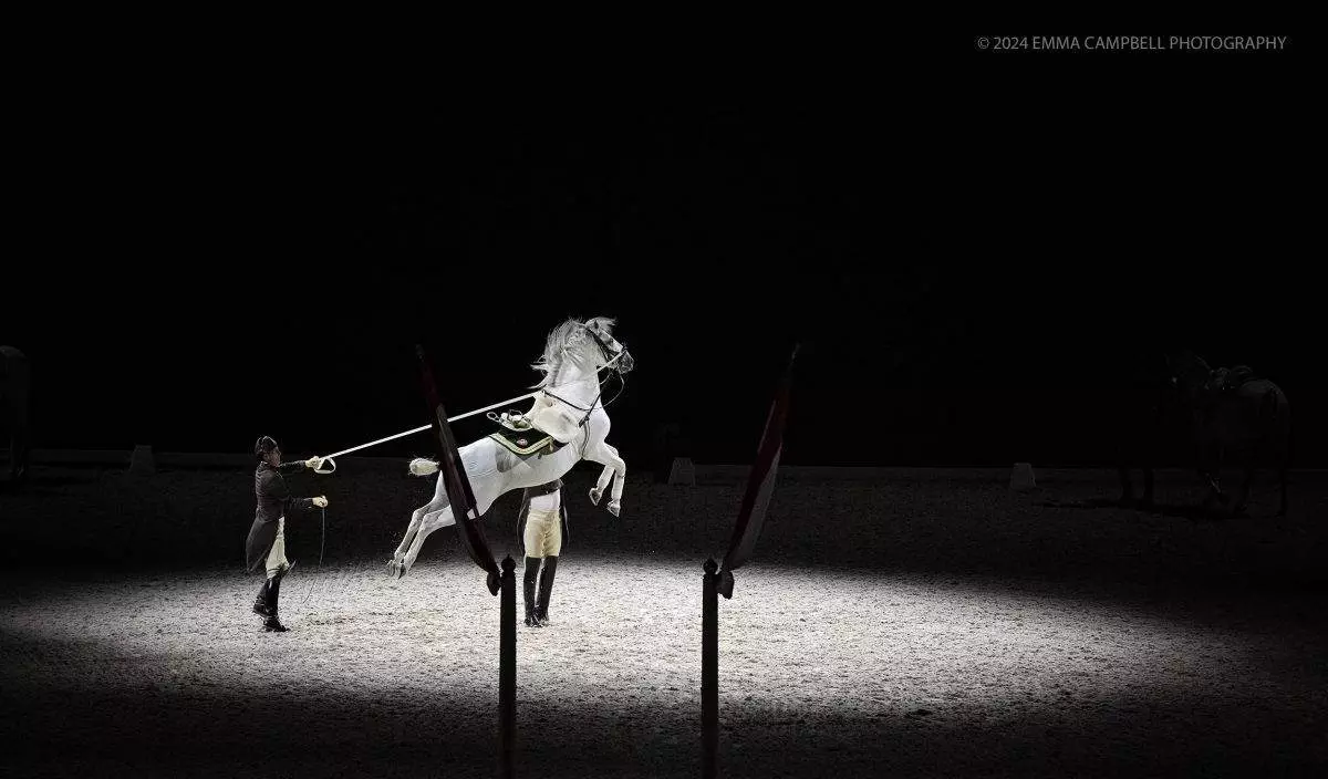 Spanish Riding School - photographed by Emma Campbell