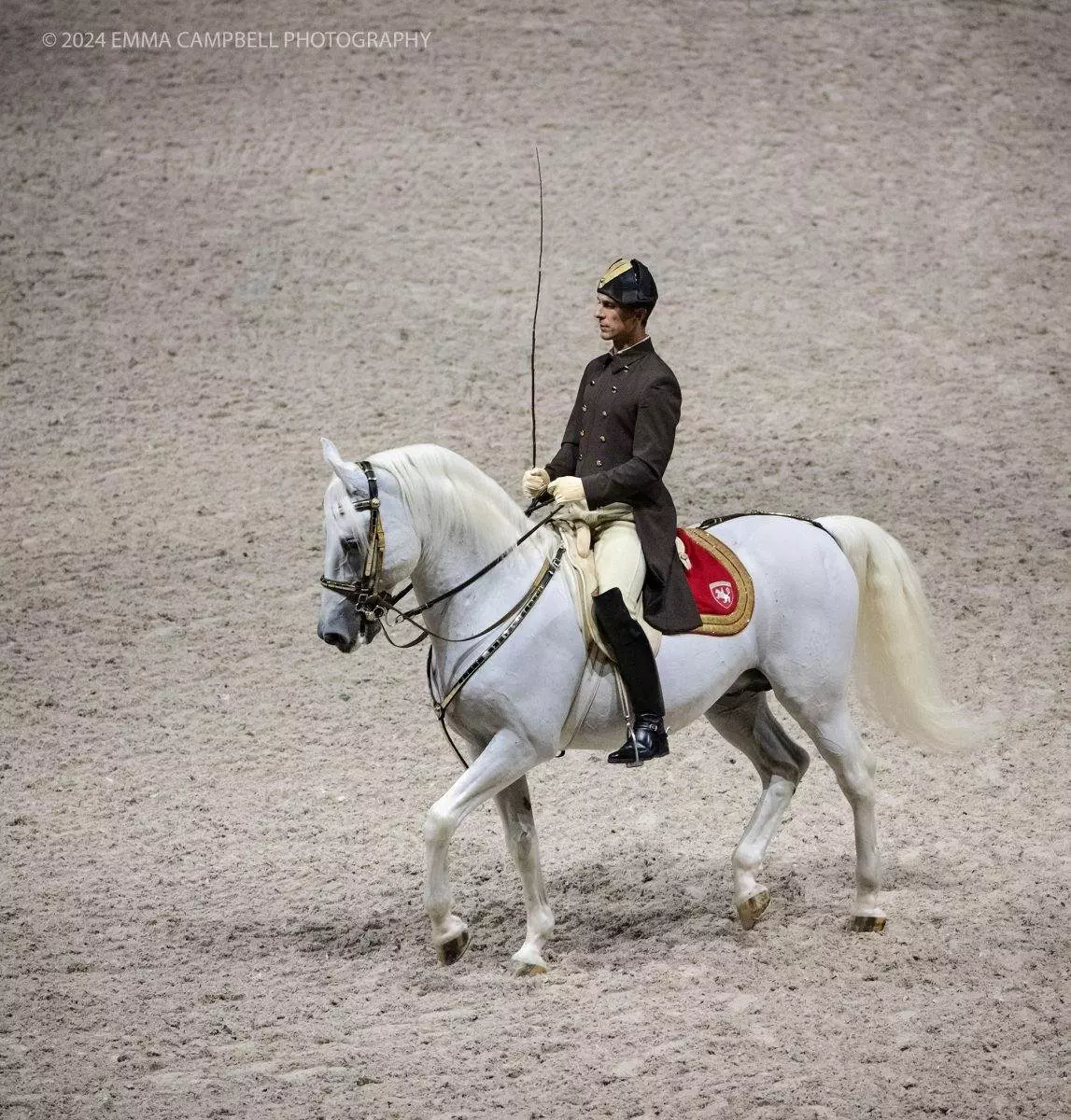 Dancing horses - spanish riding school visiting scotland.