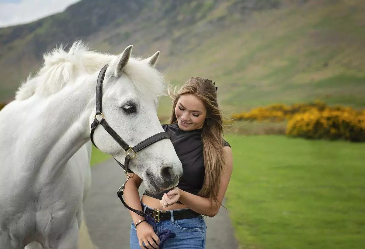 Horse photographer - Horse photoshoot in the cumbria hills, 2024 by Emma Campbell