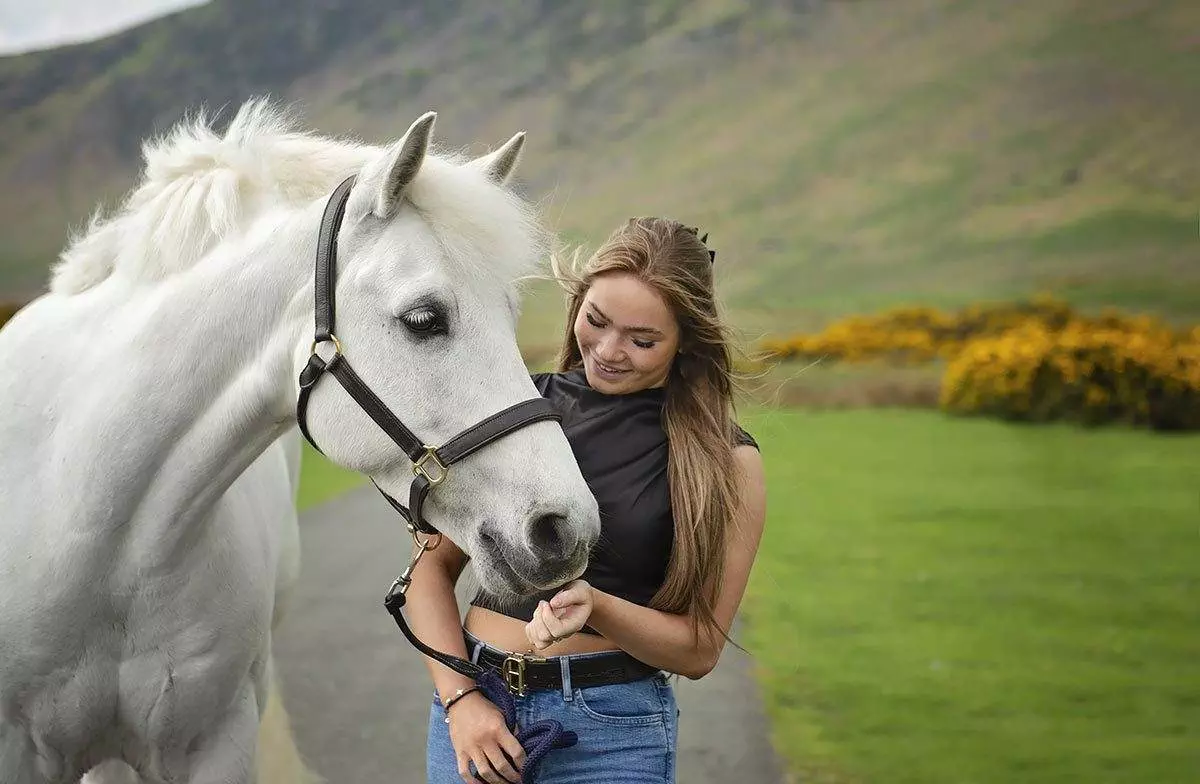 Horse Portrait photoshoot - 2024