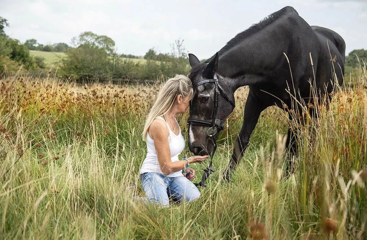 Horse Photoshoot - Yorkshire - 2024 golden oldie, by Emma Campbell