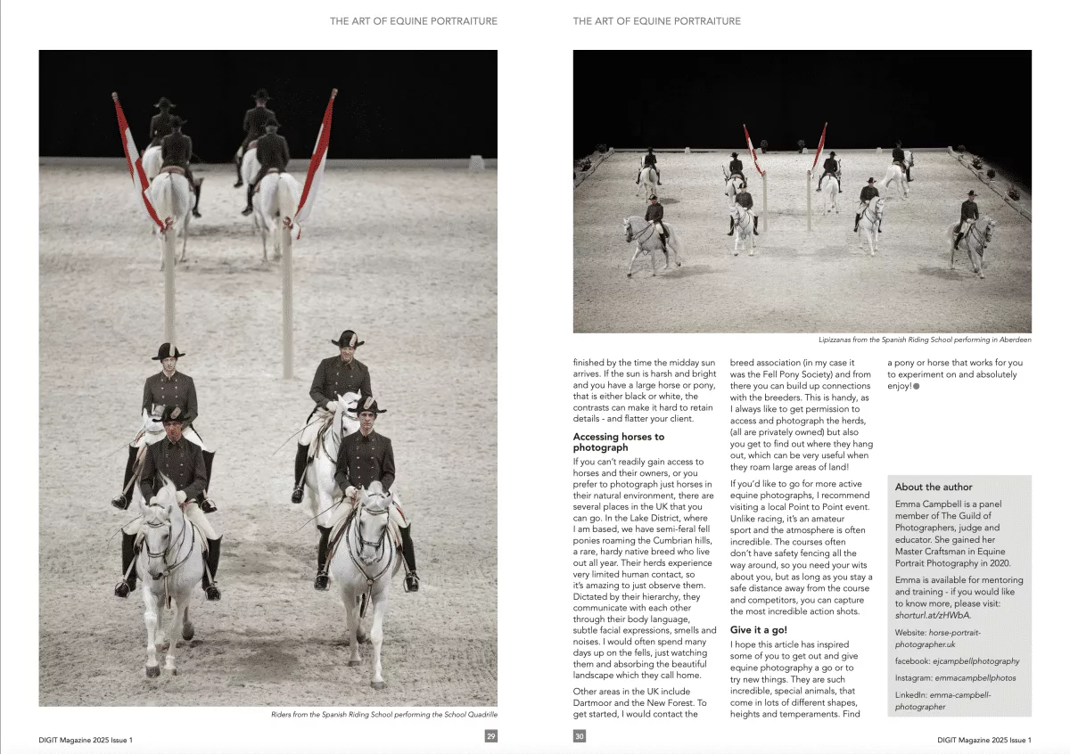 Article - photographing horses by Emma Campbell