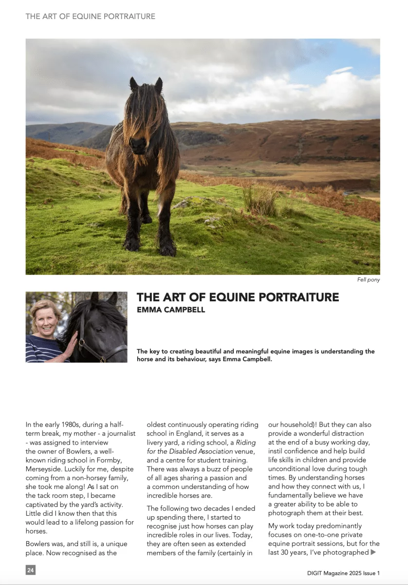 How to photograph horses