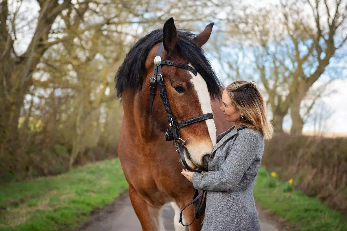 Spring Horse photshoot Session - can make you feel amazing