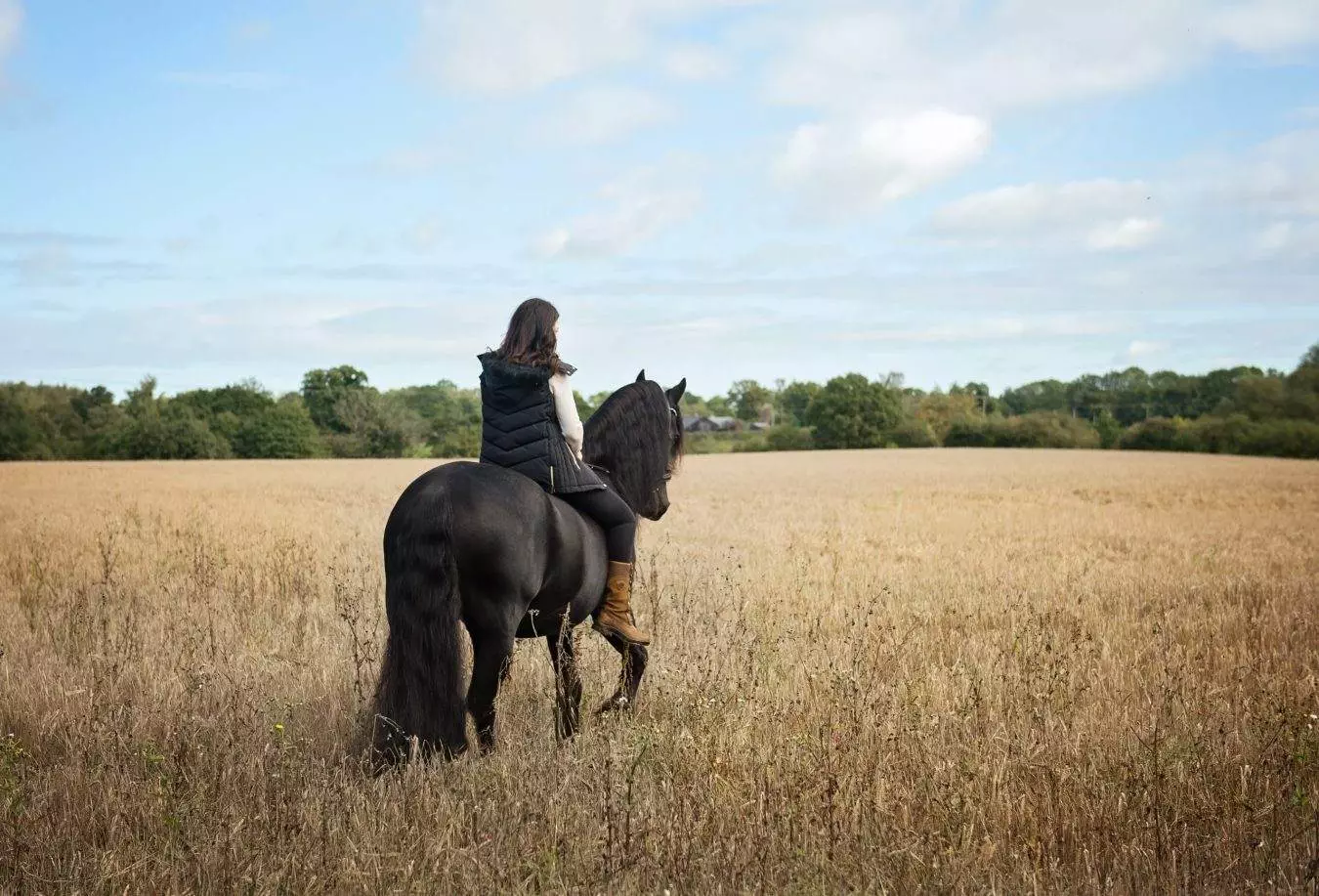 book a spring horse photoshoot and feel amazing