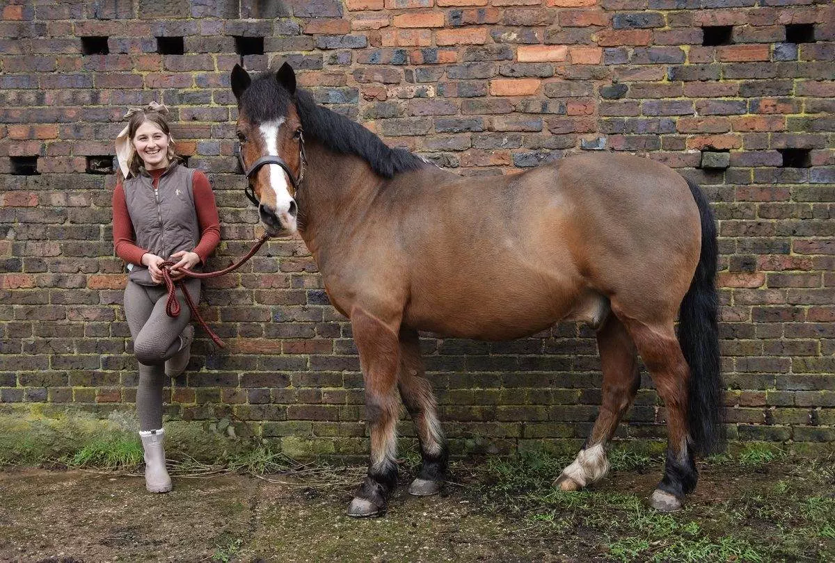 Horse photography. Equine photoshoot workshop. Pony Photoshoot