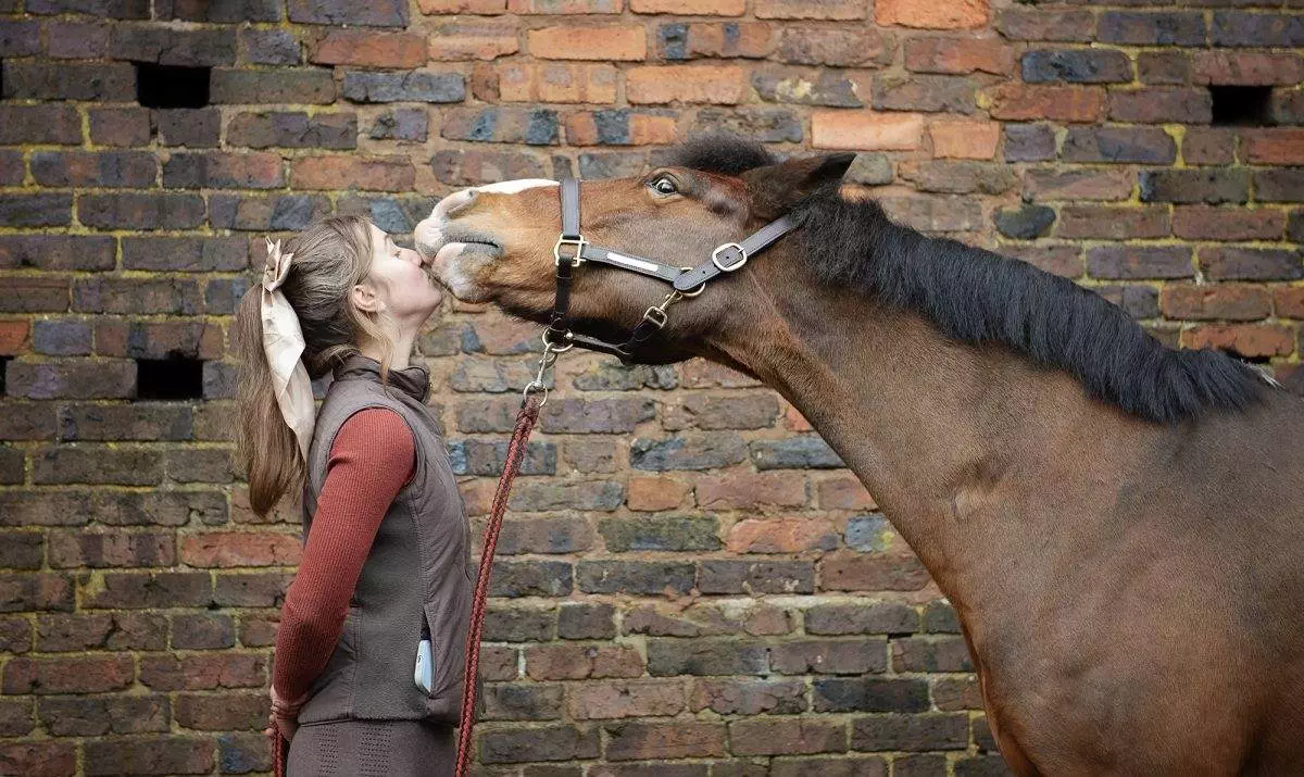 Horse photoshoot - brick wall.
