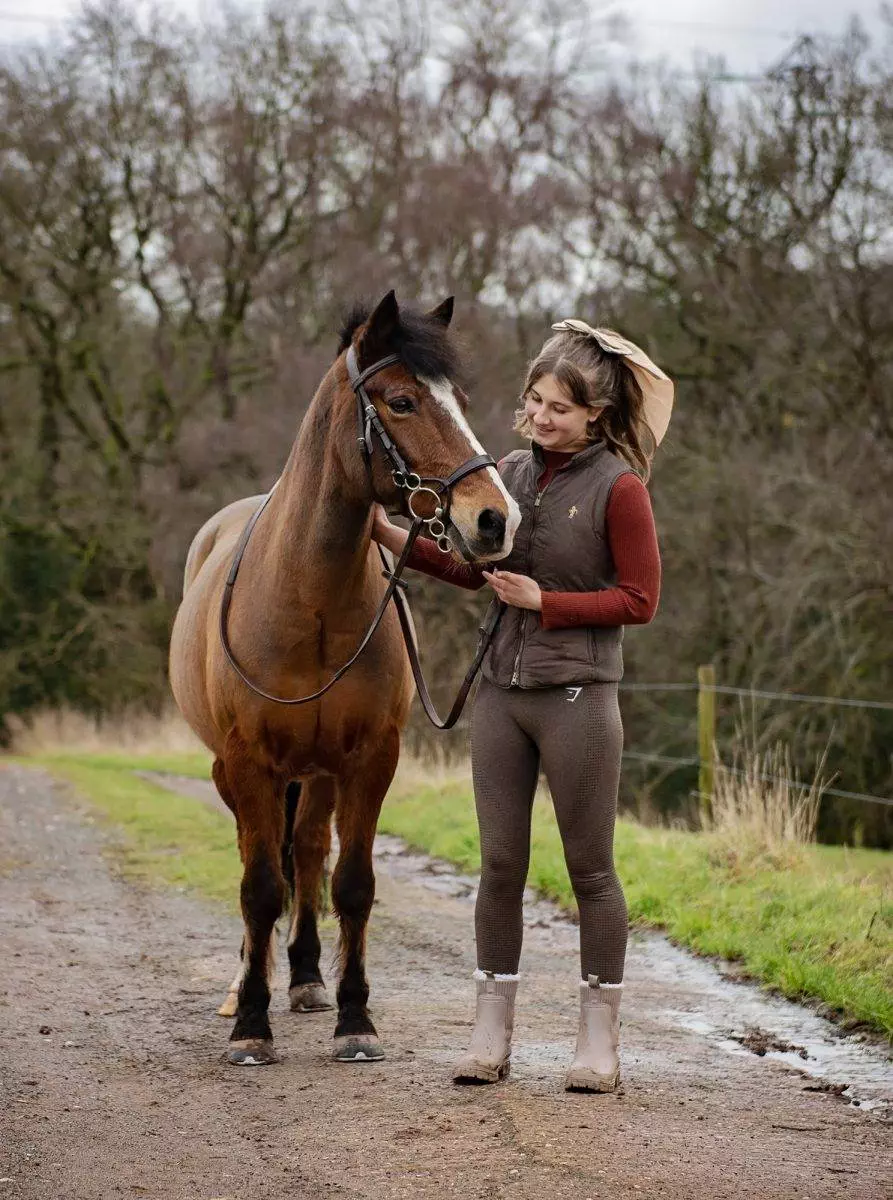 winter horse photoshoot - new forest pony