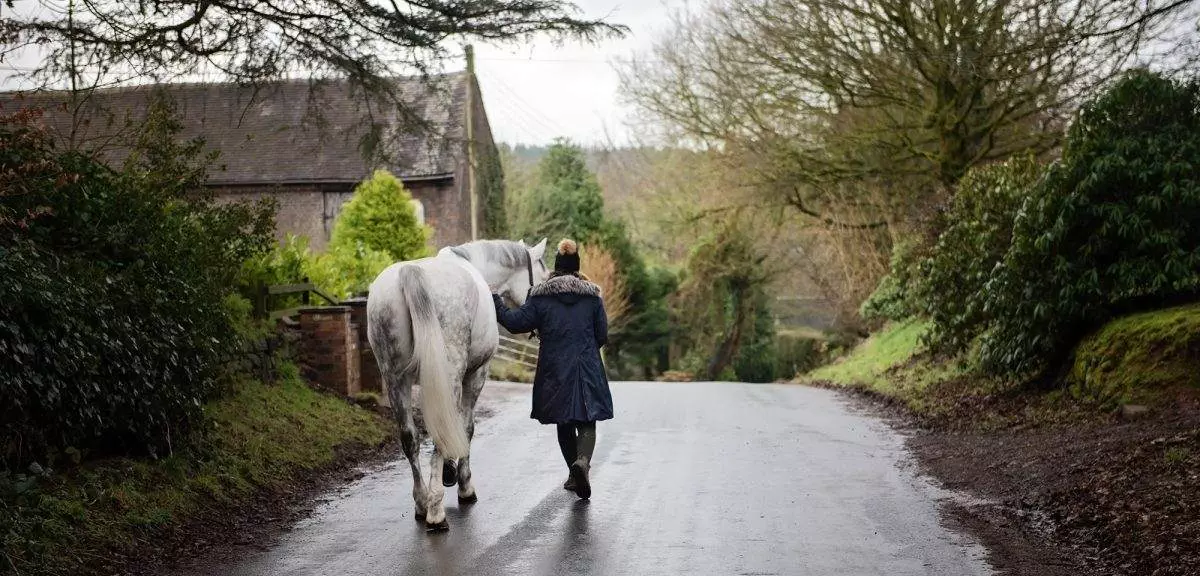 Horse photography. Equine photoshoot workshop. Walking away example photograph.