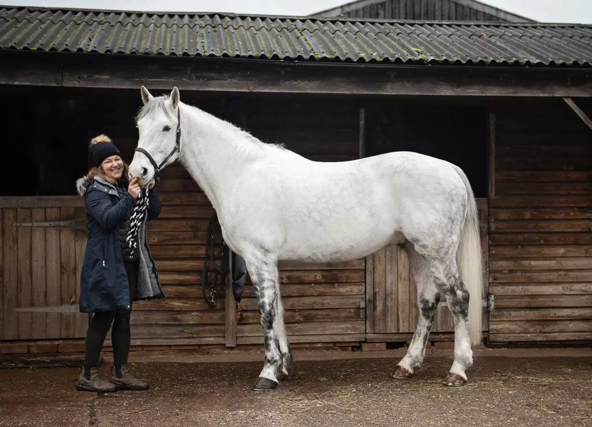 Horse photography. Equine photoshoot workshop. By Emma Campbell.