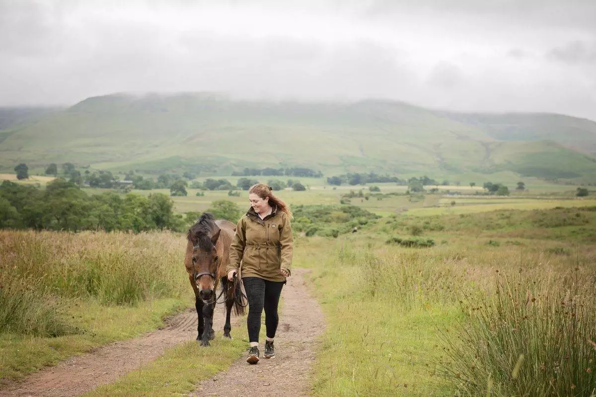 horse photoshoot in the eden valley