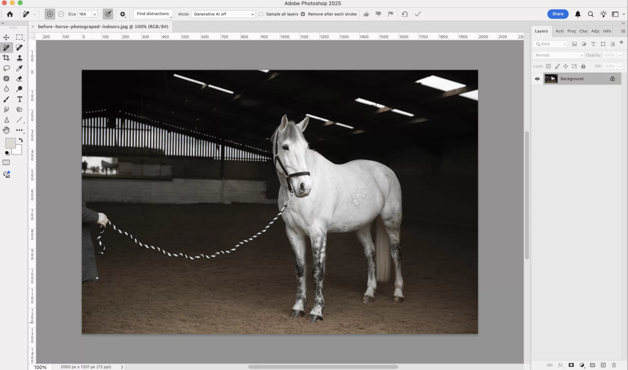 Creating black background images for horse photographs. By Emma Campbell